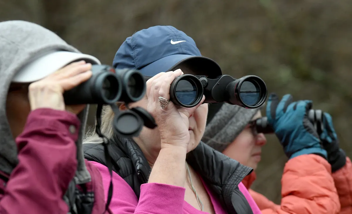 Three people in winter coats and hats looking through binoculars