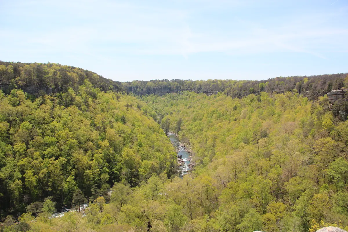 A deep wooded canyon with sandstone bluffs and a river far below, seen from a rim overlook