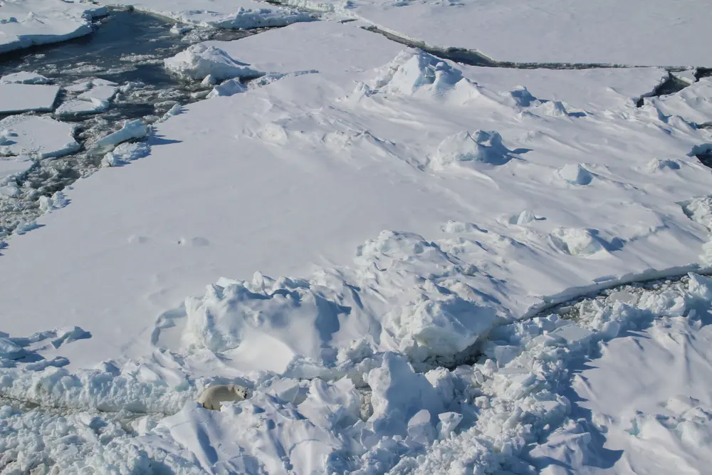 A polar bear, small in the frame at lower left, on broken white sea ice with dark open water behind