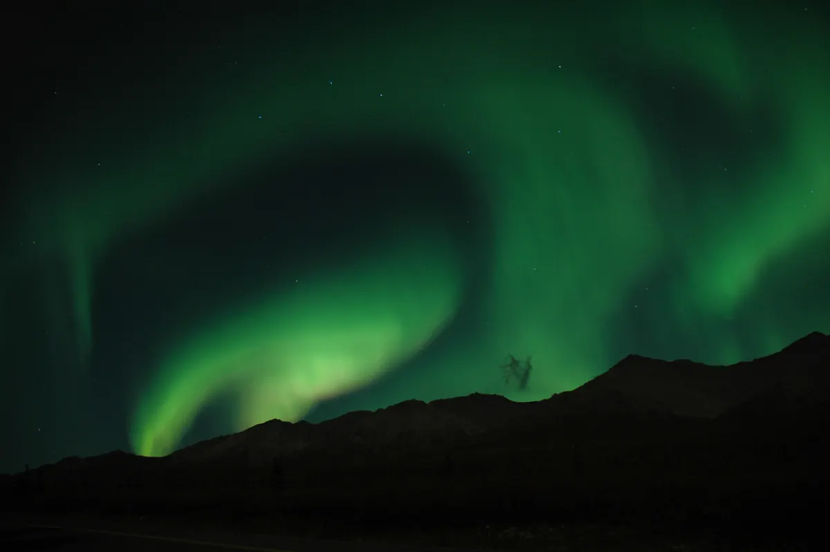 Aurora glowing in the night sky above Mount Healy in Denali National Park