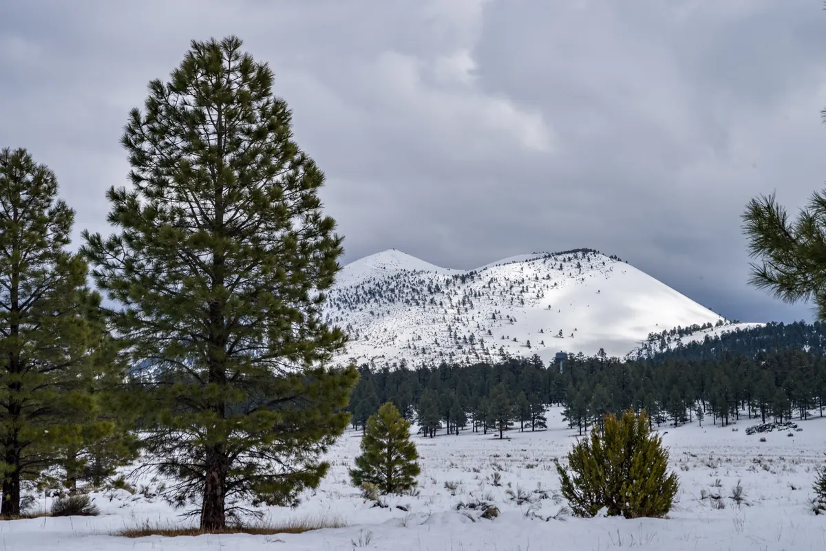 Snow-covered meadow with ponderosa pines in front of a snowy volcanic cinder cone under gray clouds