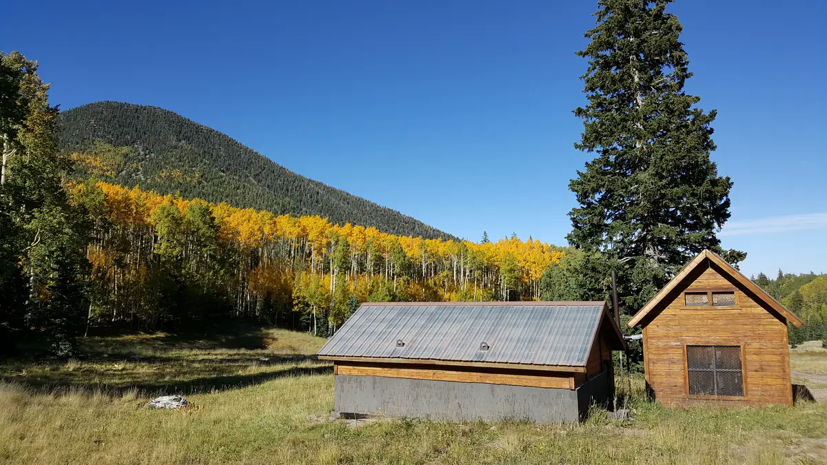 Golden and green aspens on a slope in the Inner Basin of the San Francisco Peaks, with dark conifers above.
