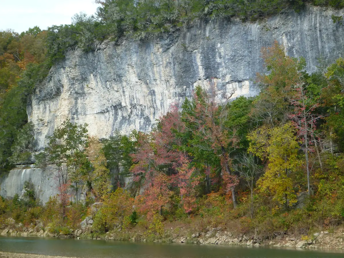 A tall pale-gray bluff above green river water, with trees at its foot turning red, orange and yellow.