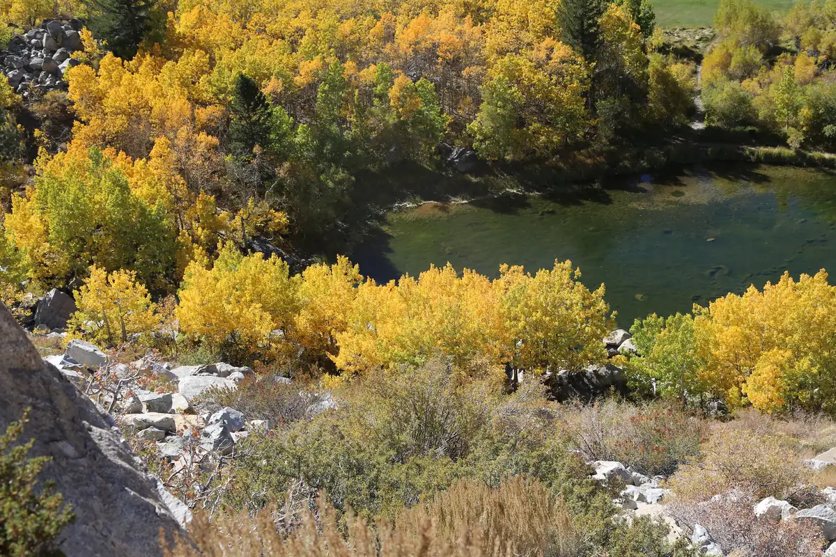 A small pond ringed with golden aspens at the upper end of Aspendell in Bishop Creek Canyon, Eastern Sierra