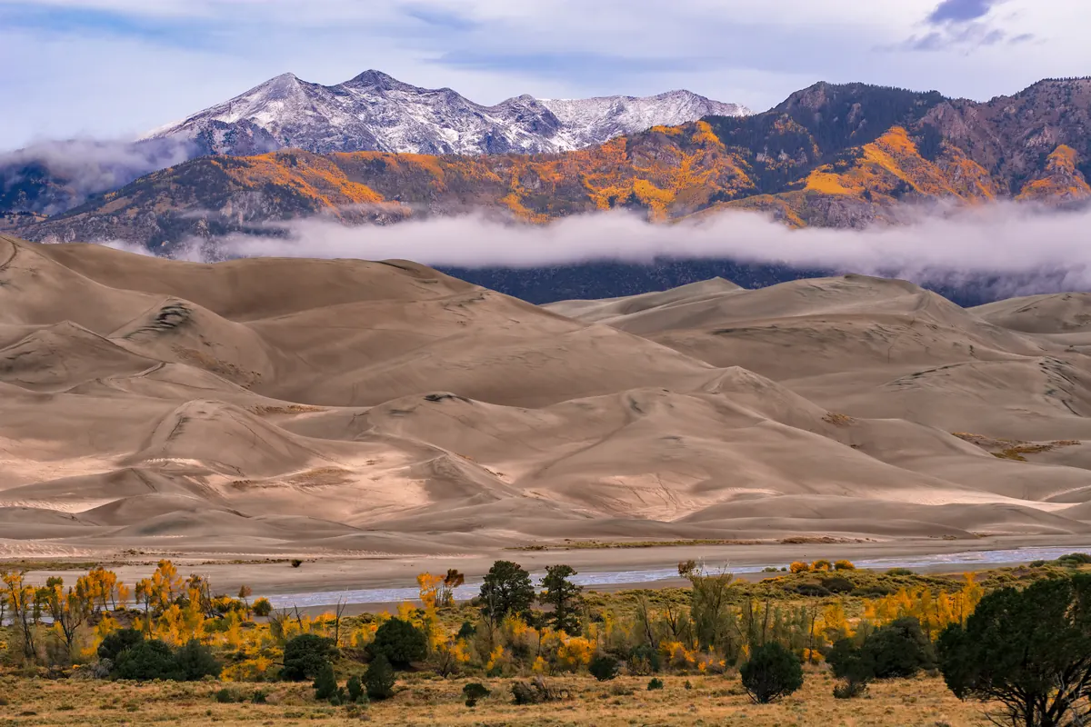 Pale sand dunes under low cloud, with gold cottonwoods along a creek in the foreground and yellow aspen patches and fresh snow on the mountains behind.