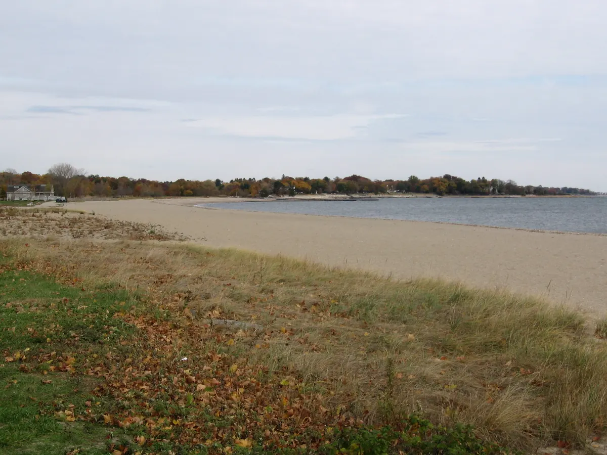 An empty sandy beach curving along calm gray water under an overcast sky, with brown dune grass and fallen leaves in the foreground and a line of late-autumn trees on the far shore.