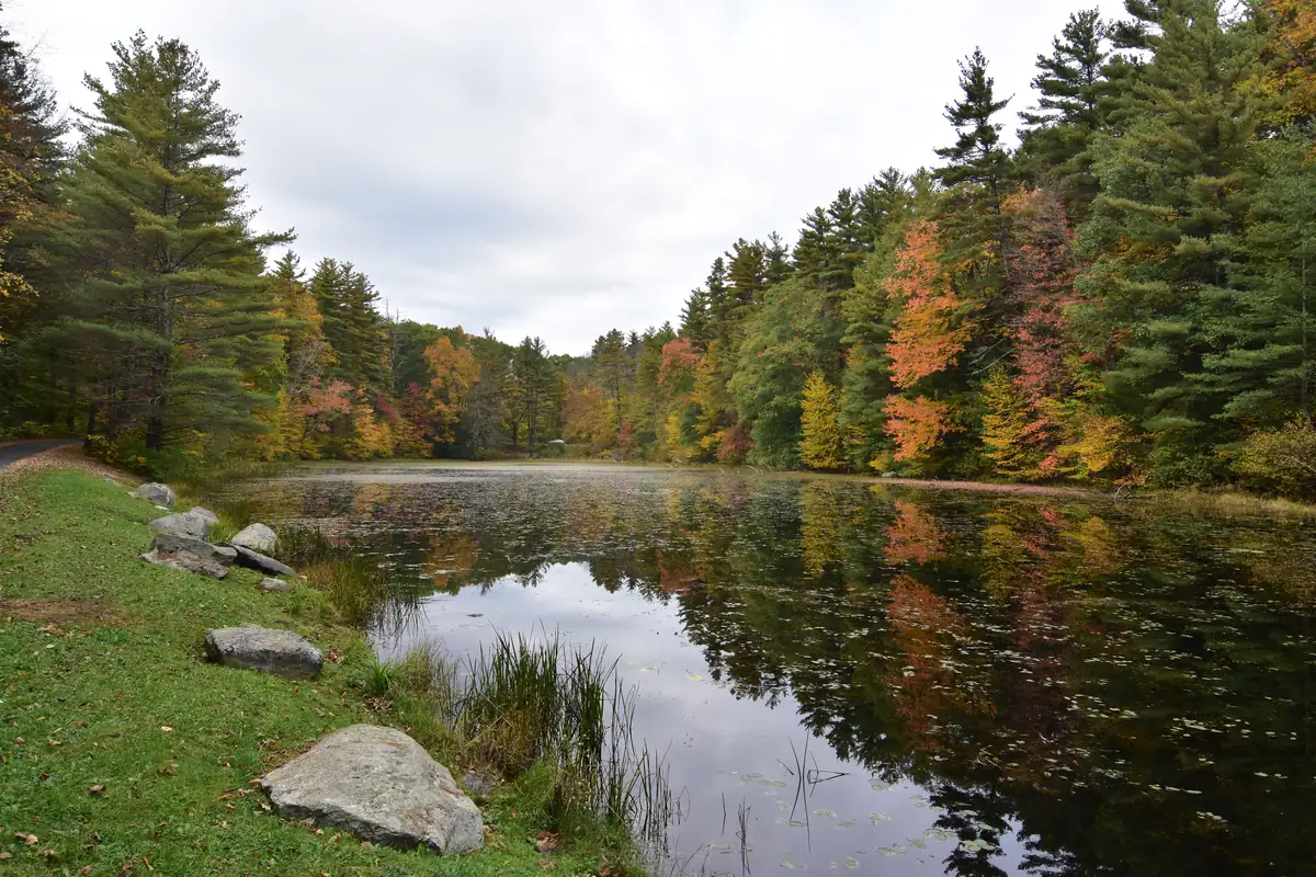 A still pond at Haystack Mountain State Park reflecting white pines and maples turning orange and red under an overcast sky, with boulders on the grassy bank.