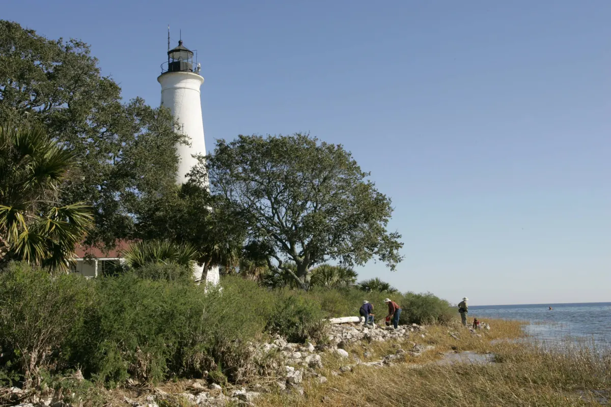 The white St. Marks lighthouse rising above live oaks and cabbage palms, with visitors on the rocky Gulf shore in front