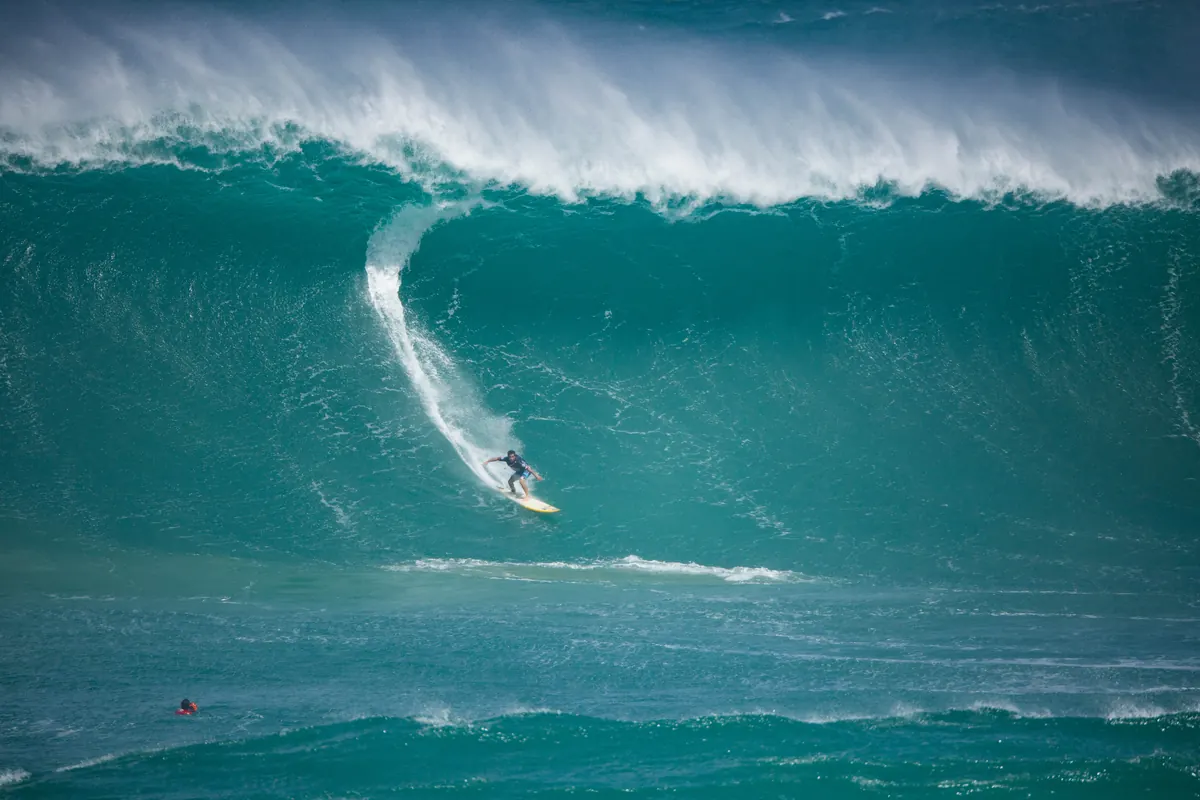 A surfer drops down the face of a huge breaking wave at Waimea Bay