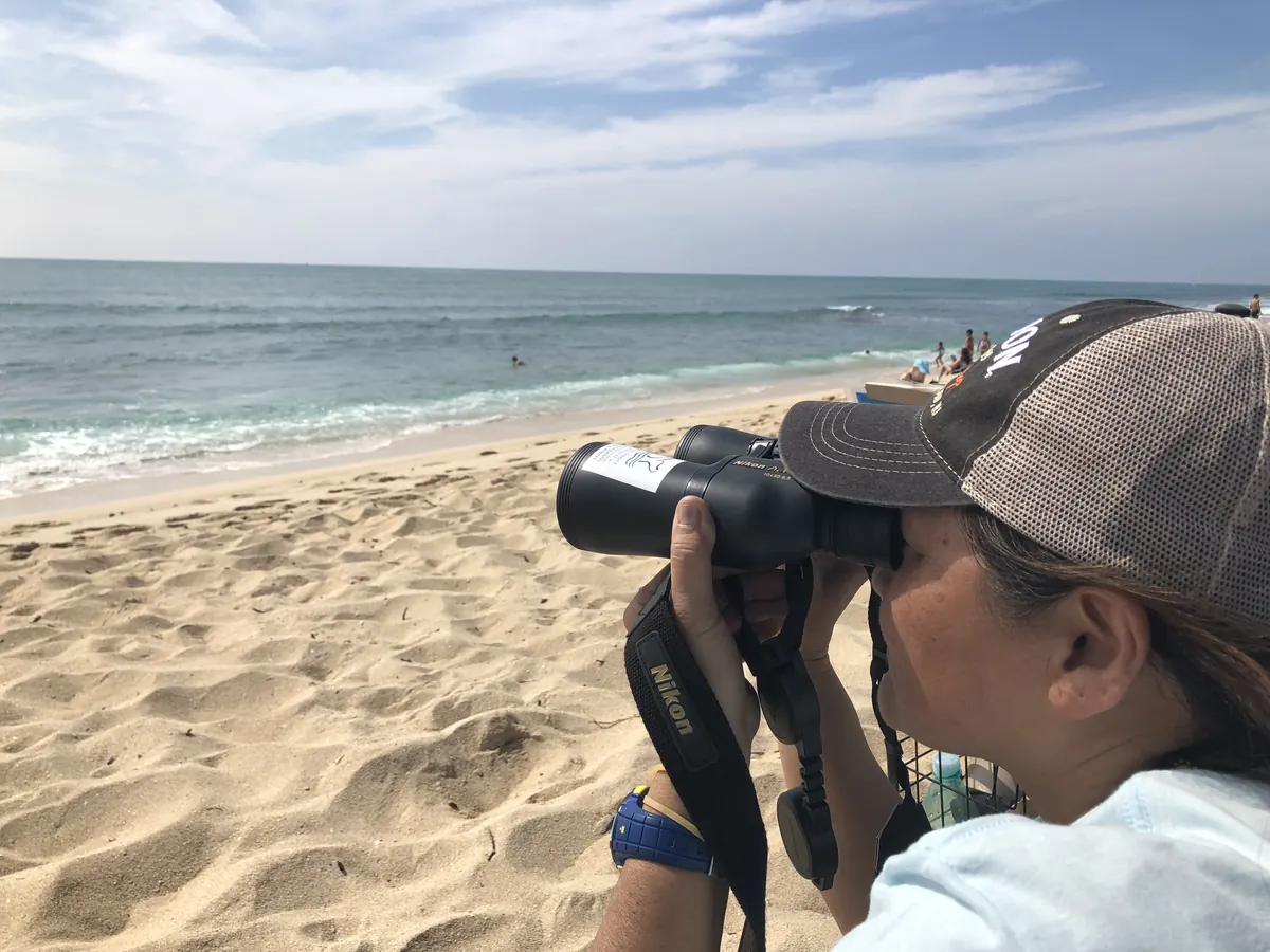 A volunteer in a cap looks through binoculars at the ocean from a sandy beach