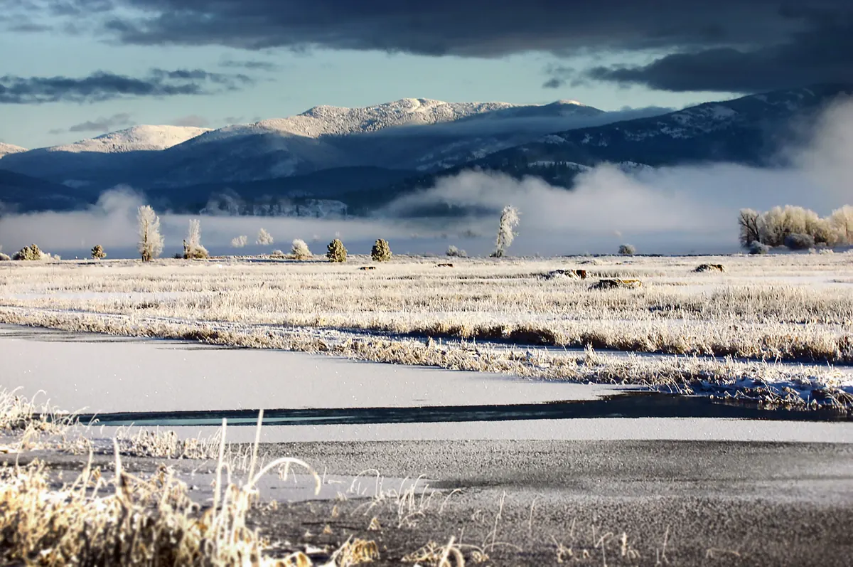 Frost-covered marsh grass and a partly frozen pond in a wide valley, with low fog and snowy mountains under dark clouds.