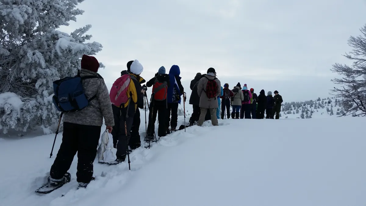 A long single-file line of students and adults on snowshoes crossing deep snow past frosted conifers.