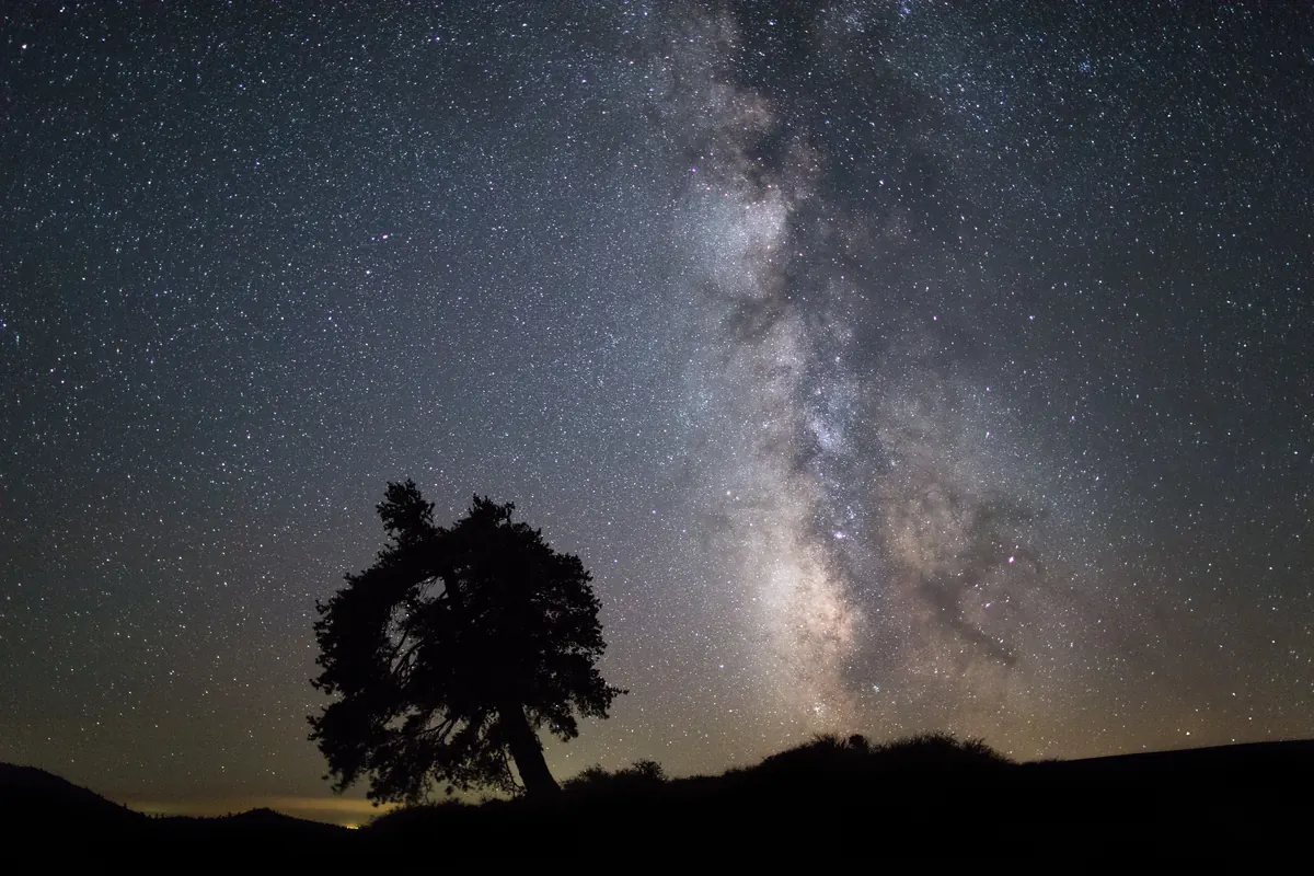 A lone tree silhouetted on a volcanic cinder cone beneath the Milky Way and a sky full of stars.