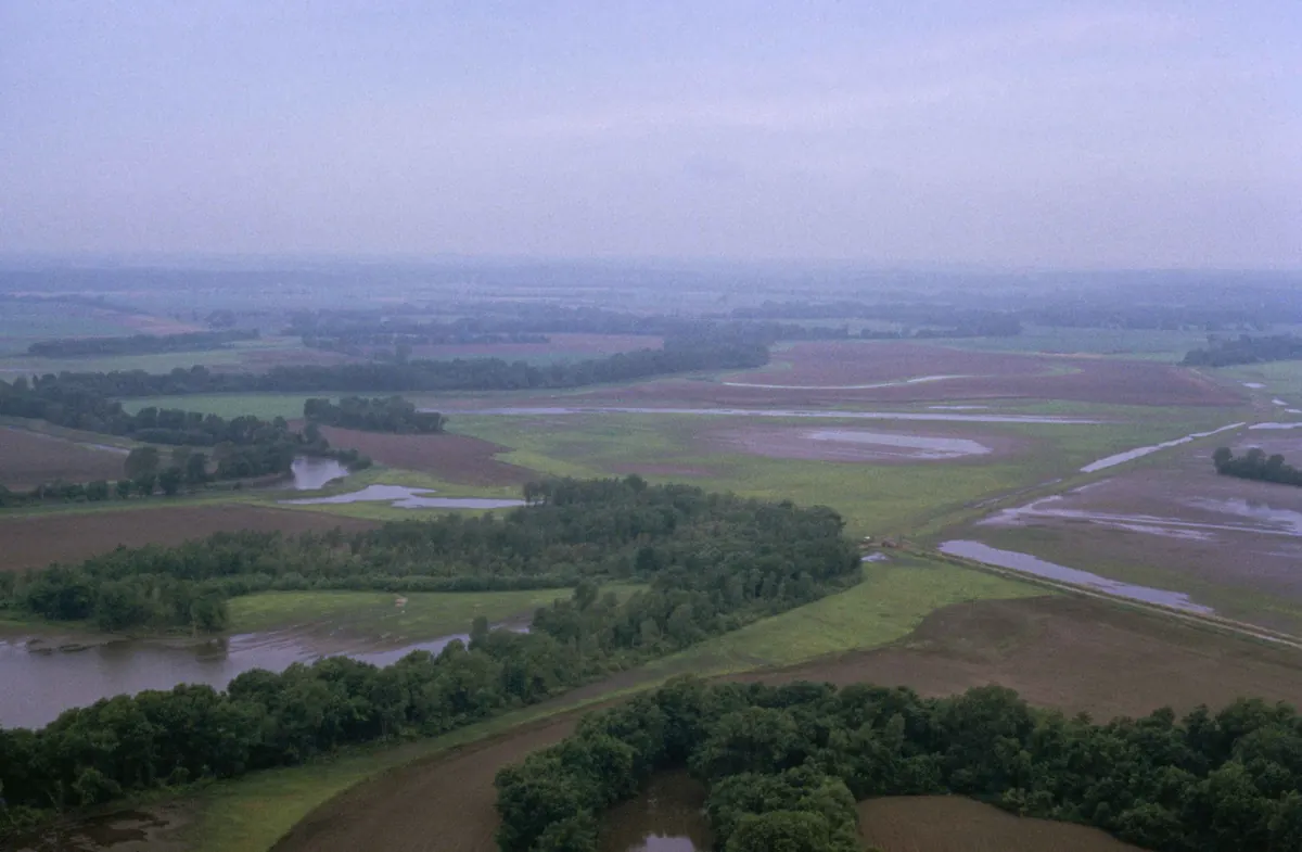 Aerial view of a wide floodplain with shallow flooded fields, backwater channels and lines of trees along a river