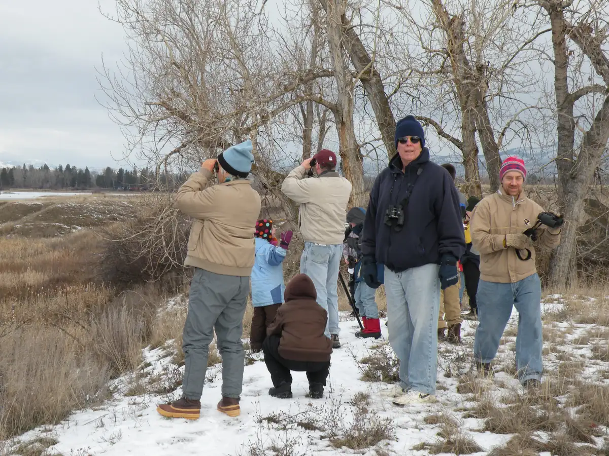 Adults and children in winter coats and hats stand on a snowy trail beside bare cottonwoods, several raising binoculars.
