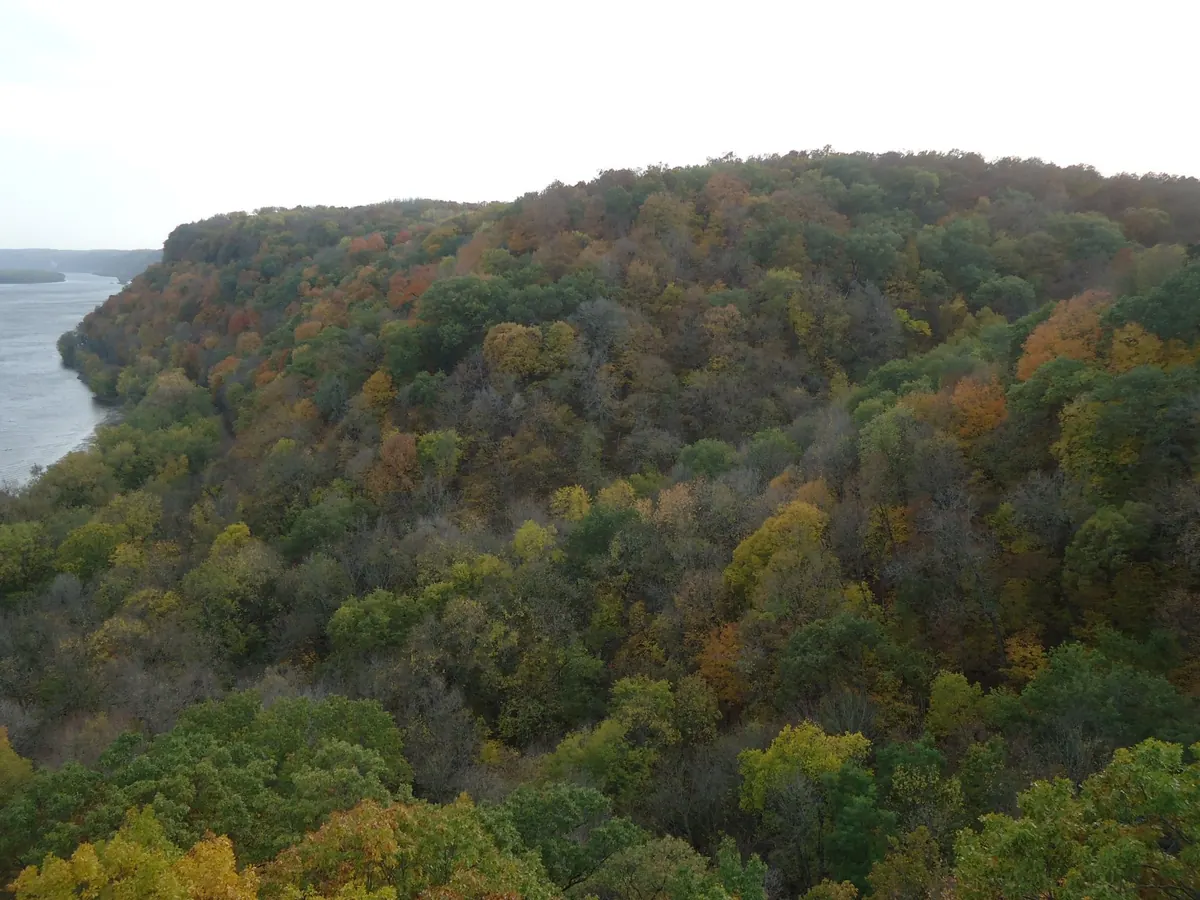A wooded bluff in early autumn color at Effigy Mounds National Monument, with the Mississippi River visible at left.