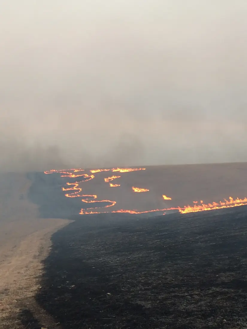 Two lines of orange flame burning through dry grass toward the horizon under a hazy sky