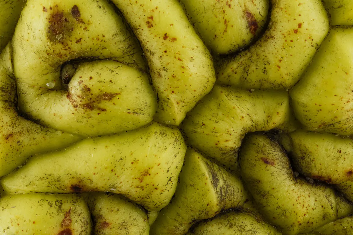 Extreme close-up of the lumpy, pale green surface of an Osage orange fruit