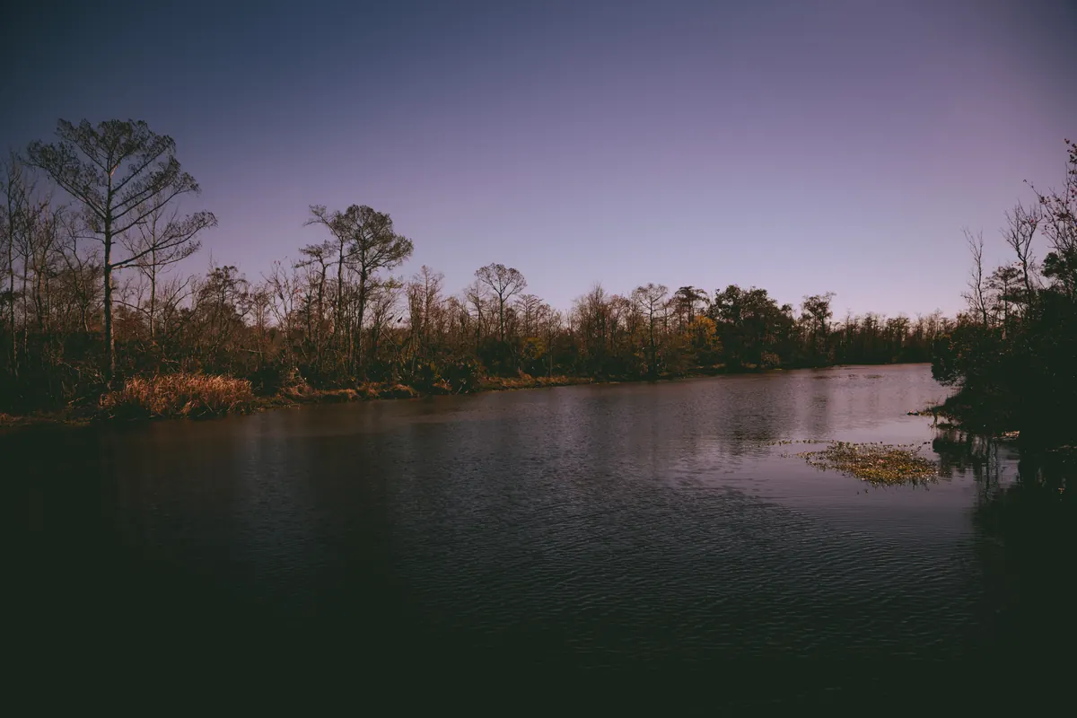 A wide, still bayou at dusk under a violet sky, lined with bare trees, dark evergreens and patches of floating plants.