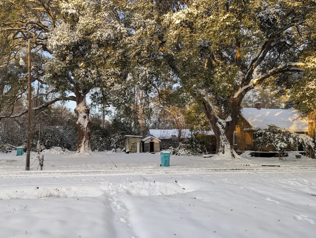 Snow covering a yard, a quiet road and the low spreading limbs of live oaks beside a small wooden house, lit by late afternoon sun.