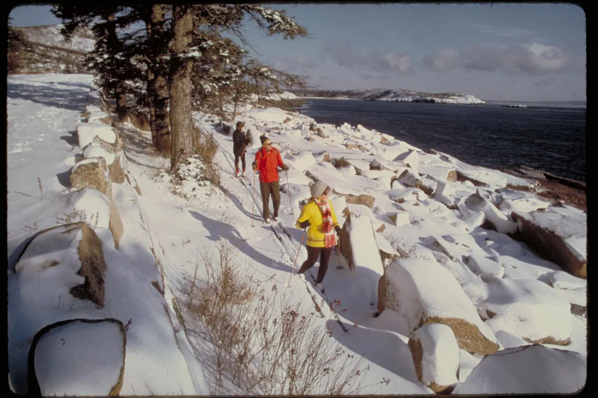 Three cross-country skiers following a snowy trail between granite boulders and spruce trees beside the dark ocean on a sunny day.
