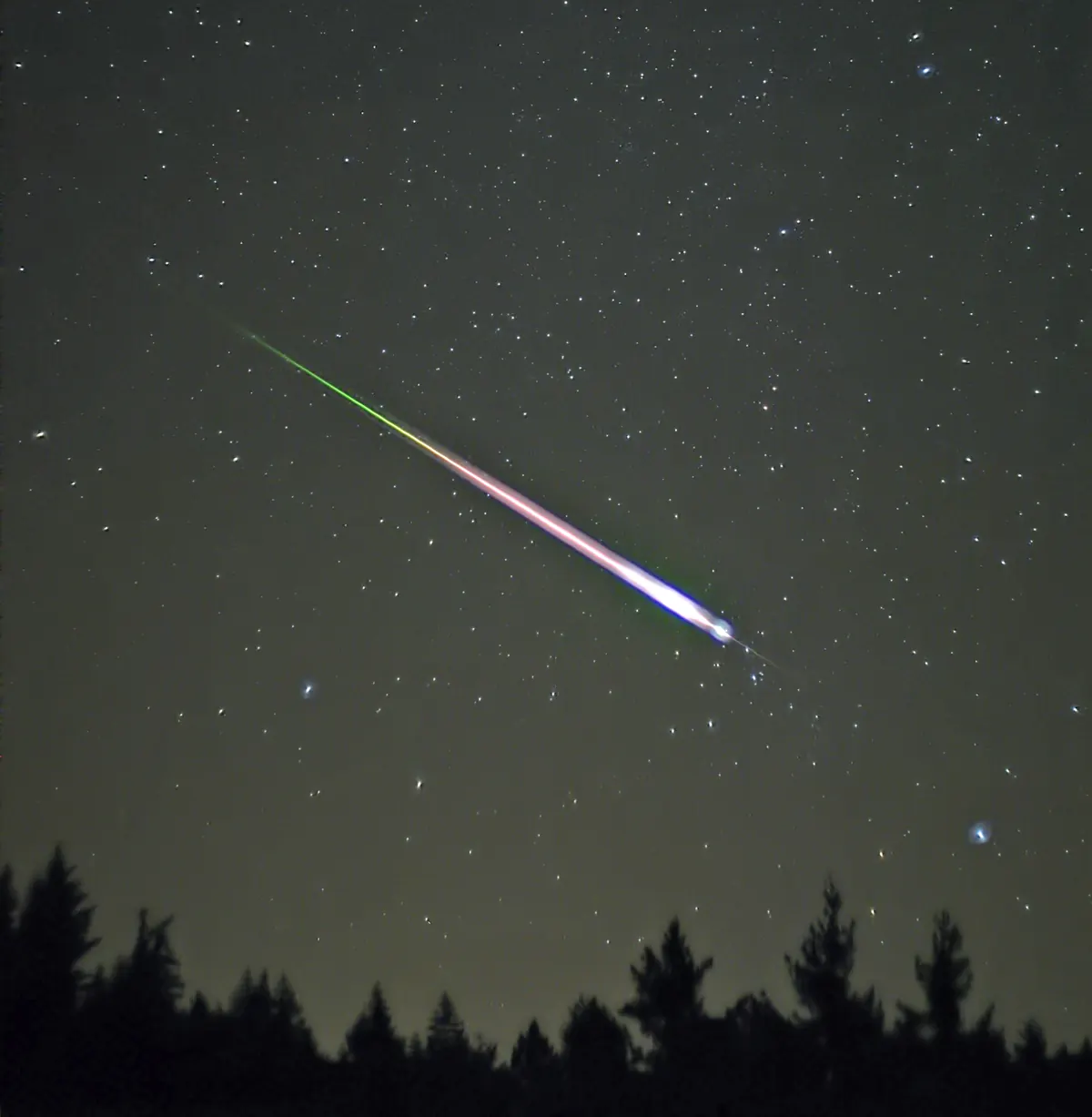 A bright meteor streaking diagonally across a starry sky, green at its tail and white at its head, above a dark line of conifer tops.