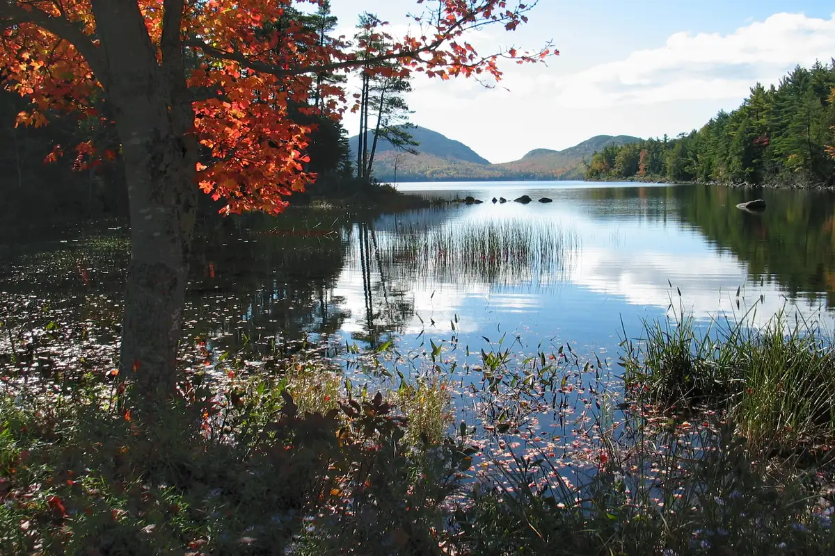 Orange maple leaves framing Eagle Lake, with reeds in the shallows and rounded granite mountains beyond the water.