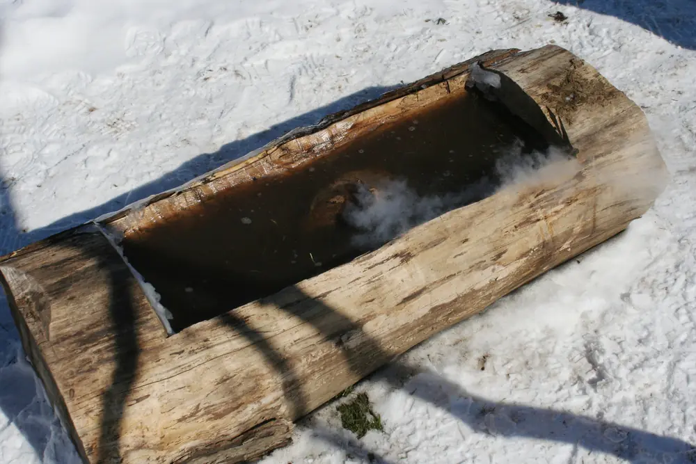 A hollowed-out log filled with steaming maple sap sitting on snow-covered ground