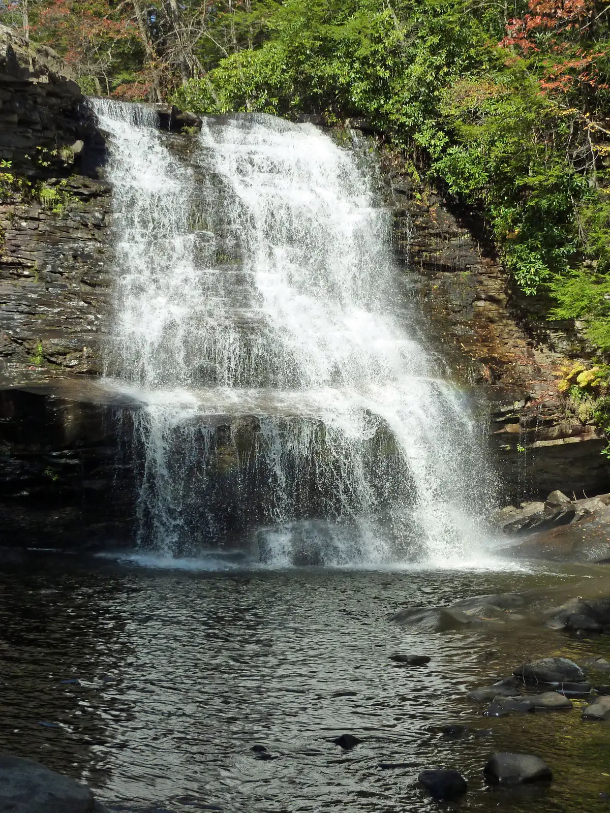 Muddy Creek Falls spilling over a dark layered rock ledge into a pool, with green and red-tinged trees above.