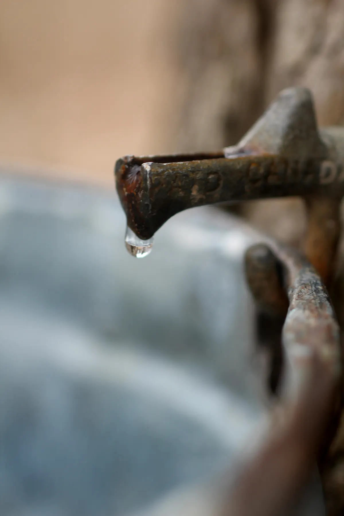A clear drop of maple sap hanging from the tip of an old metal spile tapped into a tree, with a gray sap bucket blurred behind