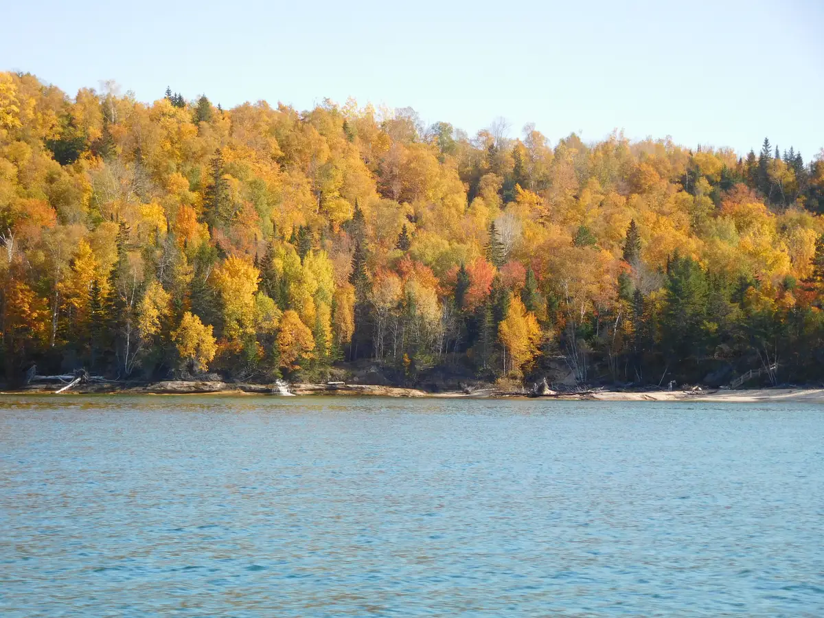 Trees in fall color above a small stretch of Lake Superior shoreline near Miners Beach, Pictured Rocks National Lakeshore, with a small waterfall left of center