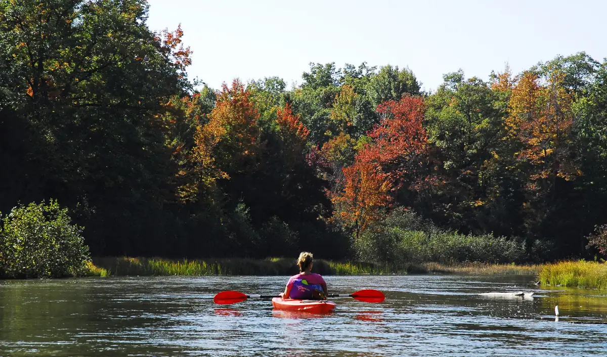 A kayaker paddling the Platte River between banks of trees in bright fall color