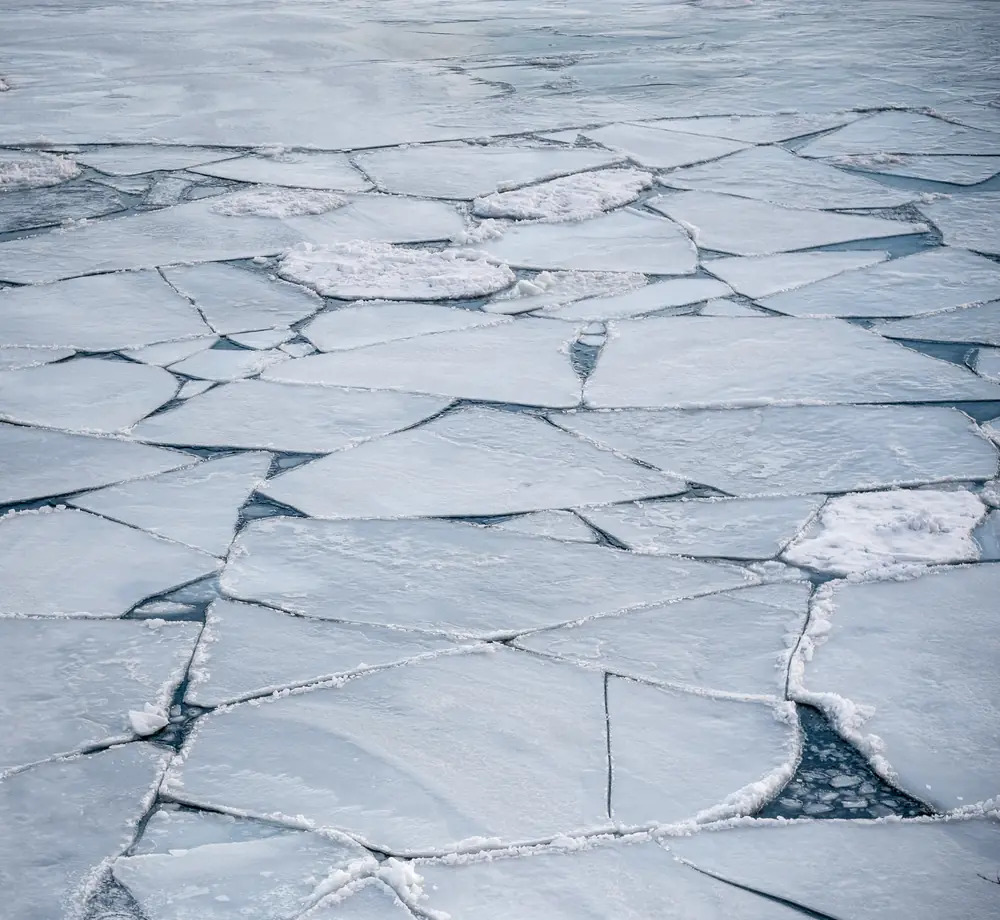 Broken plates of pale lake ice with dark cracks between them, seen from above.