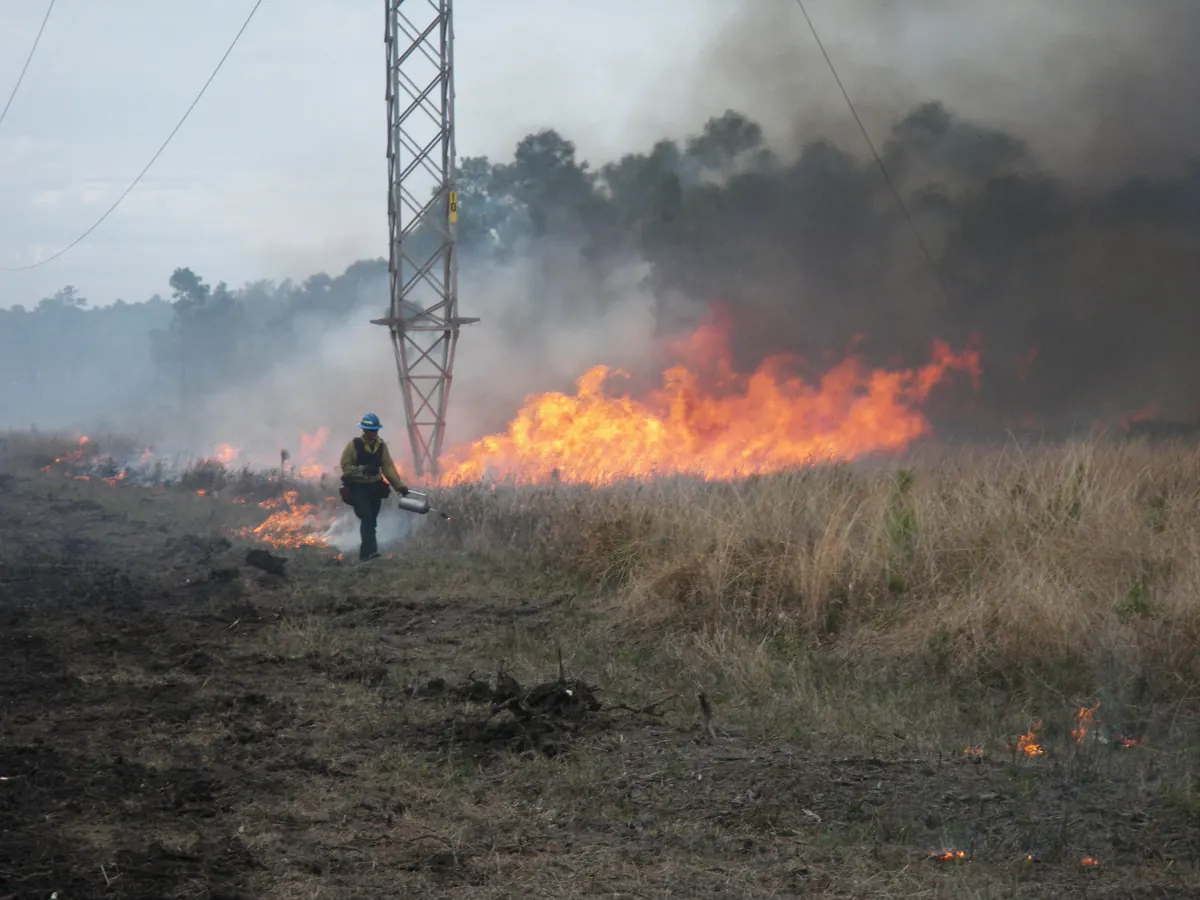 A firefighter in a blue helmet walks along a blackened control line carrying a drip torch while a line of orange flames and gray smoke moves through tall dry grass beside a power-line tower.