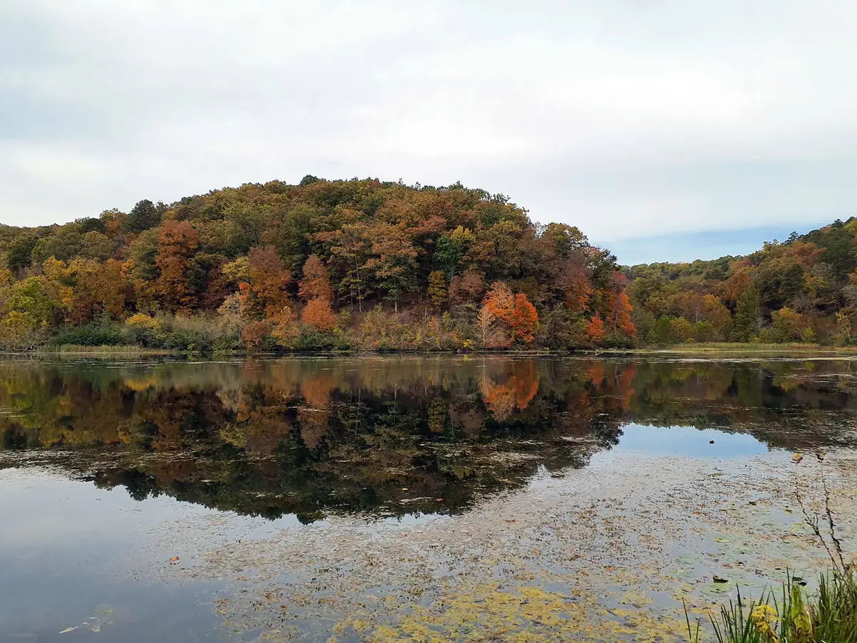 A wooded hill in orange, rust and yellow fall color reflected in the still water of Noblett Lake under an overcast sky