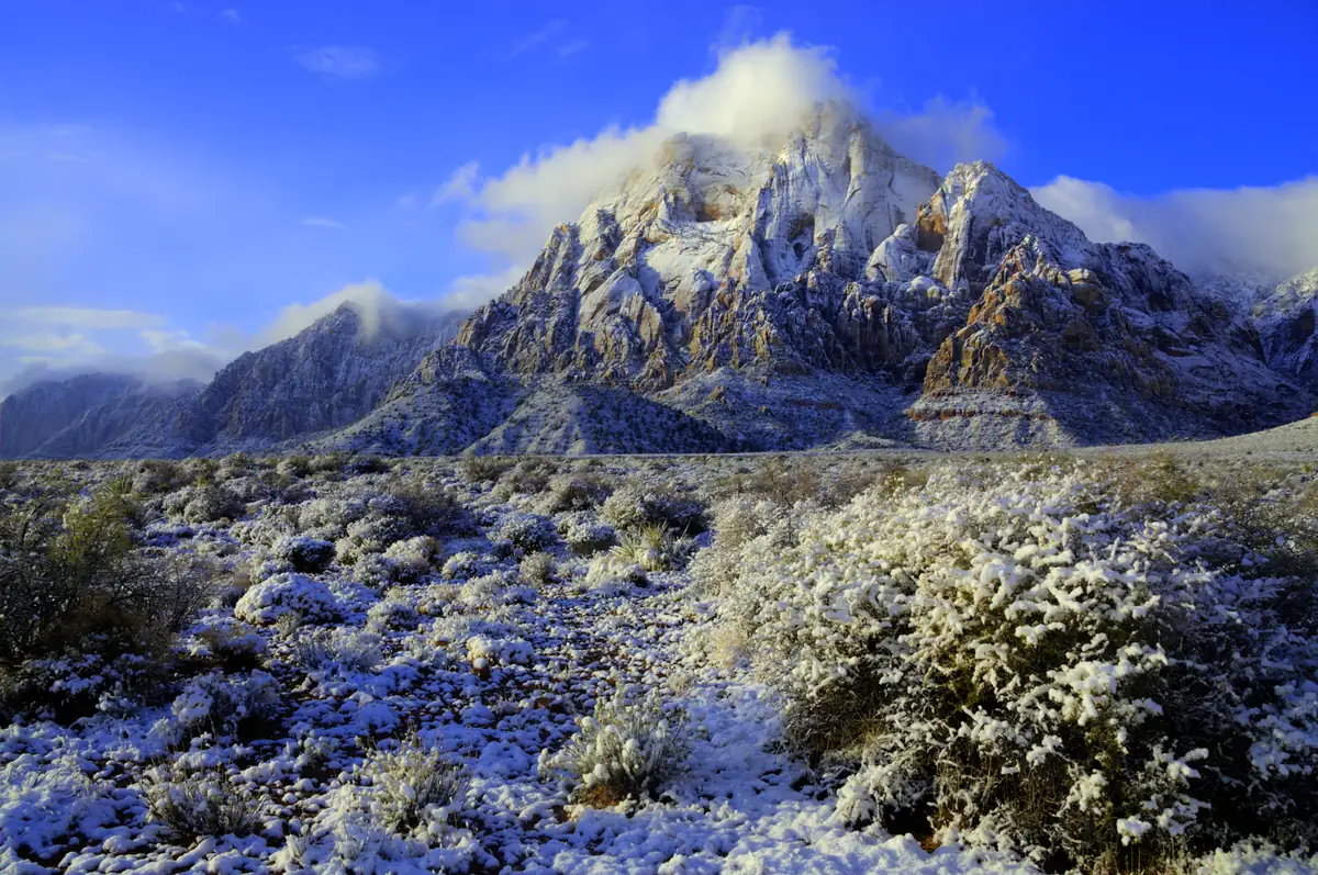 Snow dusts desert shrubs in the foreground and a craggy mountain under clouds and blue sky.