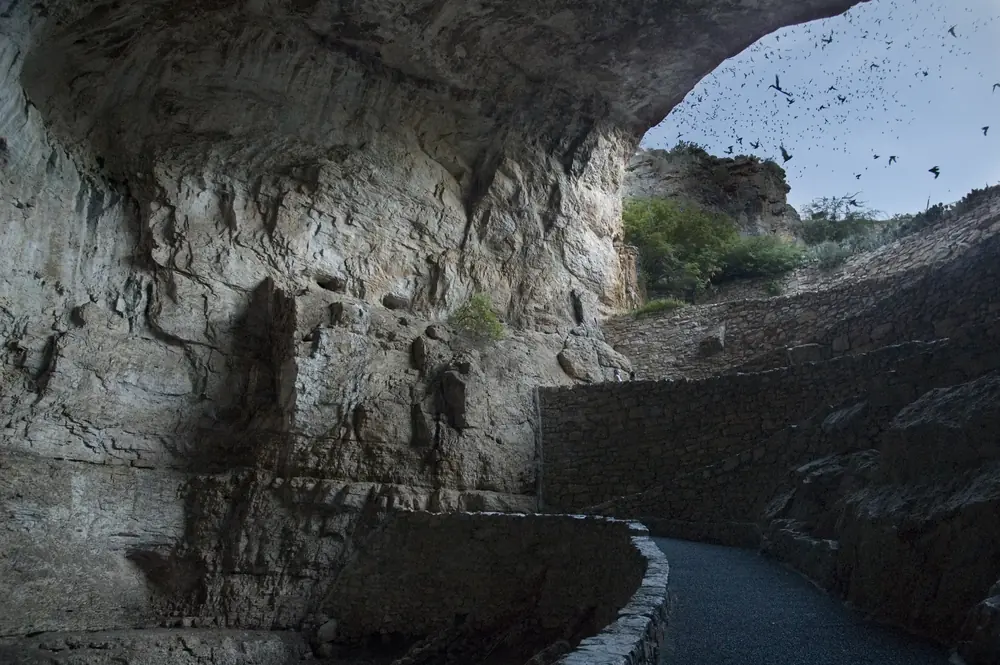 Scattered bats flying into a dusky sky above the stone walls and paved path of the natural entrance to a cave