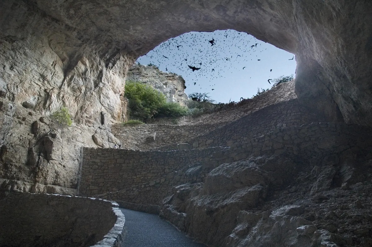 View from inside the arched Natural Entrance of Carlsbad Cavern looking out at dusk, with dark bat silhouettes streaming through the opening above a paved switchback trail.