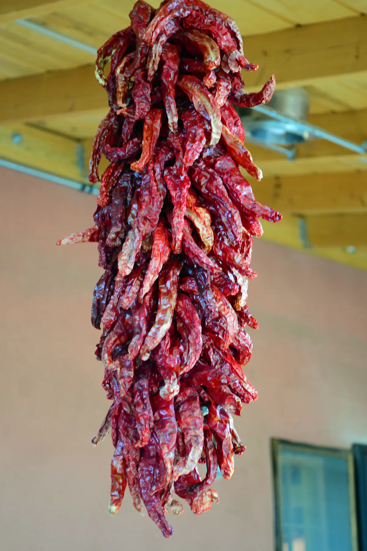 A long ristra of dried, deep red chile pods hanging from a wooden-beamed ceiling in front of a plastered wall.
