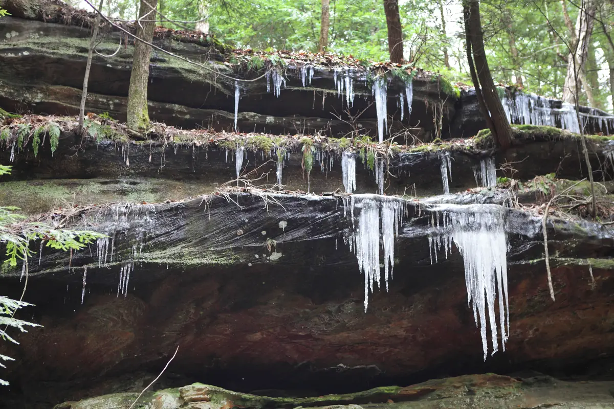 Icicles hanging from layered sandstone ledges, with hemlock boughs and bare trees above, in Hocking Hills State Park.