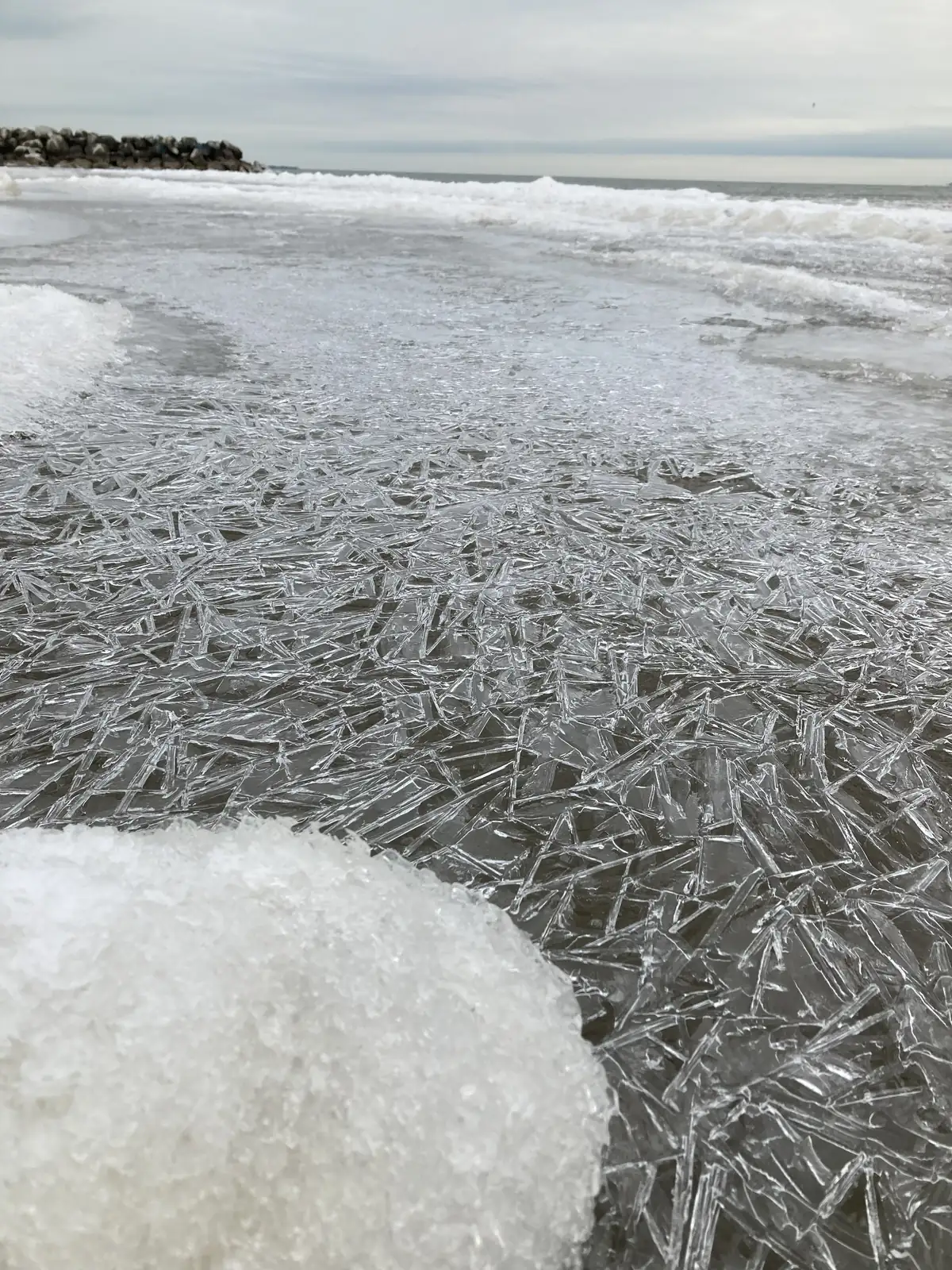 Thin, needle-like plates of new ice crisscrossing the shallow water at a Lake Erie beach, with snow mounds and a rock breakwall behind.