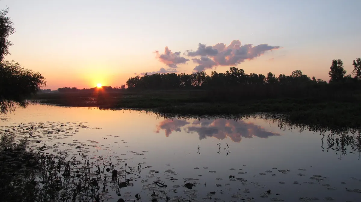 The sun rising over the marshes of Ottawa National Wildlife Refuge on the Lake Erie shore.