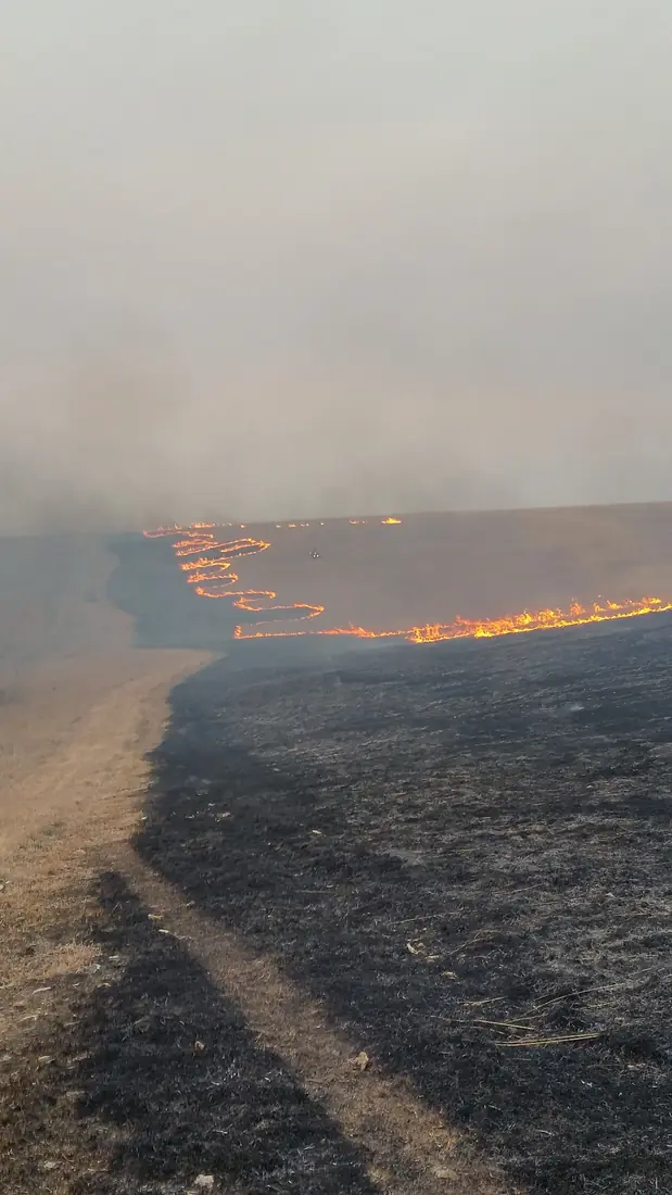 A jagged line of flame creeping across a grass slope under a hazy sky, with a blackened burned swath in front
