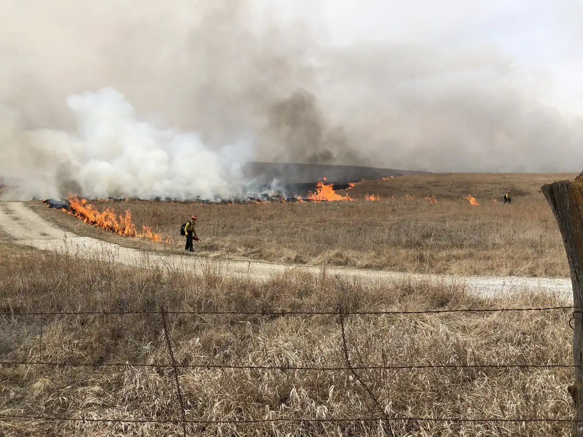 A firefighter walks beside a gravel road lighting a line of flames in tall dry prairie grass, with white smoke rising over the open hills