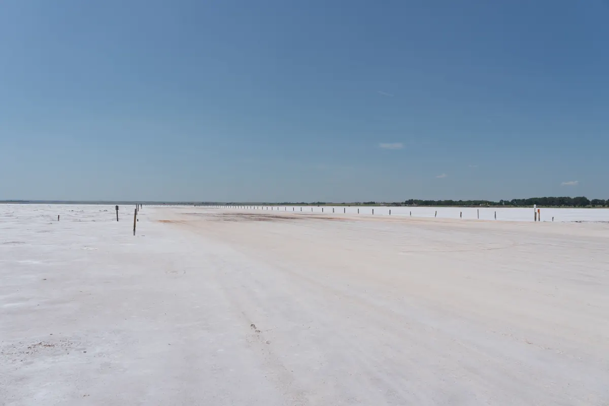 A flat, white salt plain stretches to a distant line of trees under a pale blue sky, with a row of posts marking the edge.