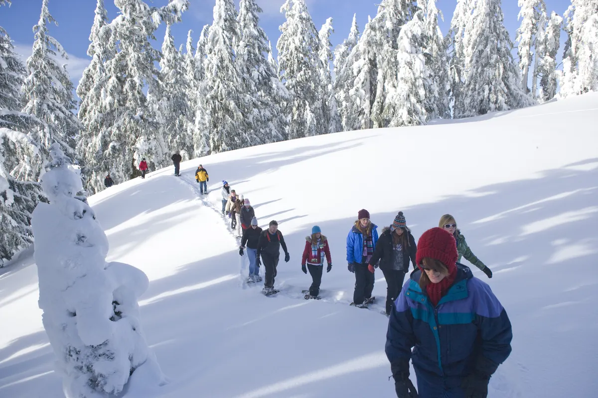 A line of people in winter jackets and hats on snowshoes walking up a snowy slope below snow-plastered conifers under blue sky