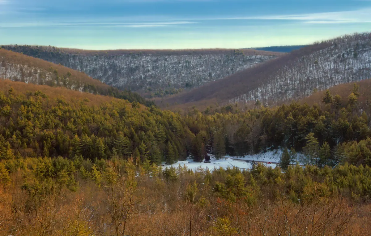 Forested ridges dusted with snow above a valley of dark green pines and hemlocks, with a small snow-covered clearing in the bottom and a pale winter sky