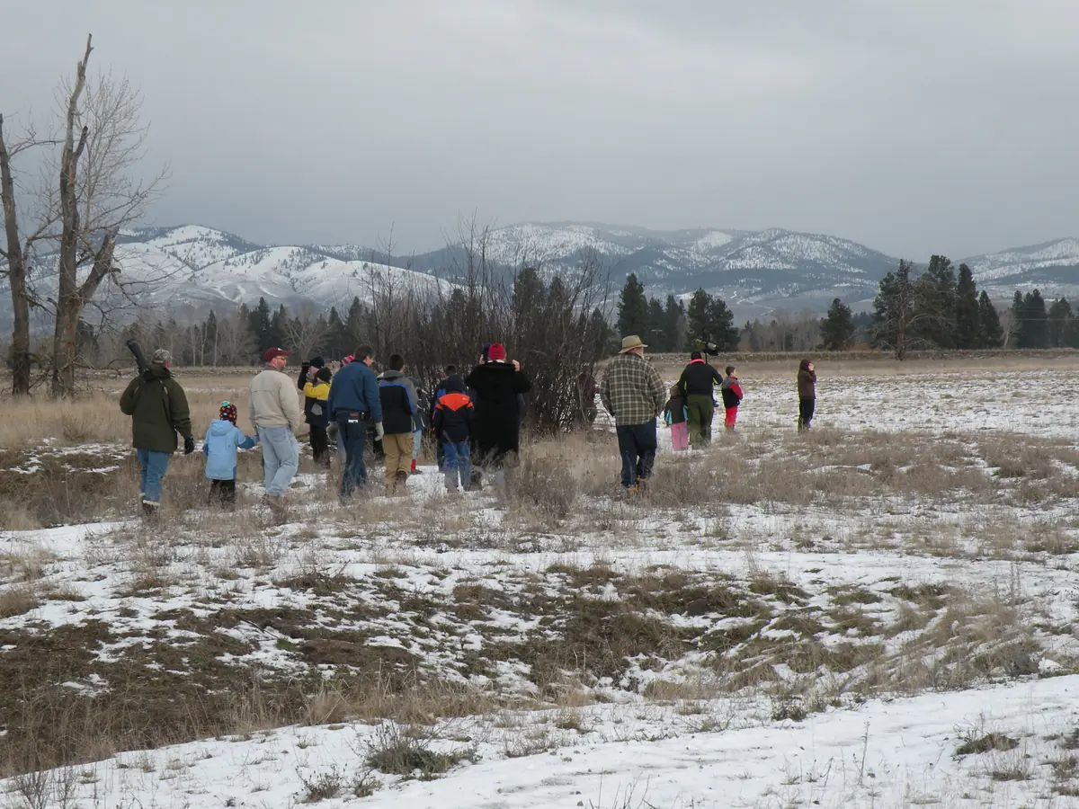 A group of adults and children in winter coats walking across a snowy field toward bare trees and evergreens, with snow-covered mountains behind.