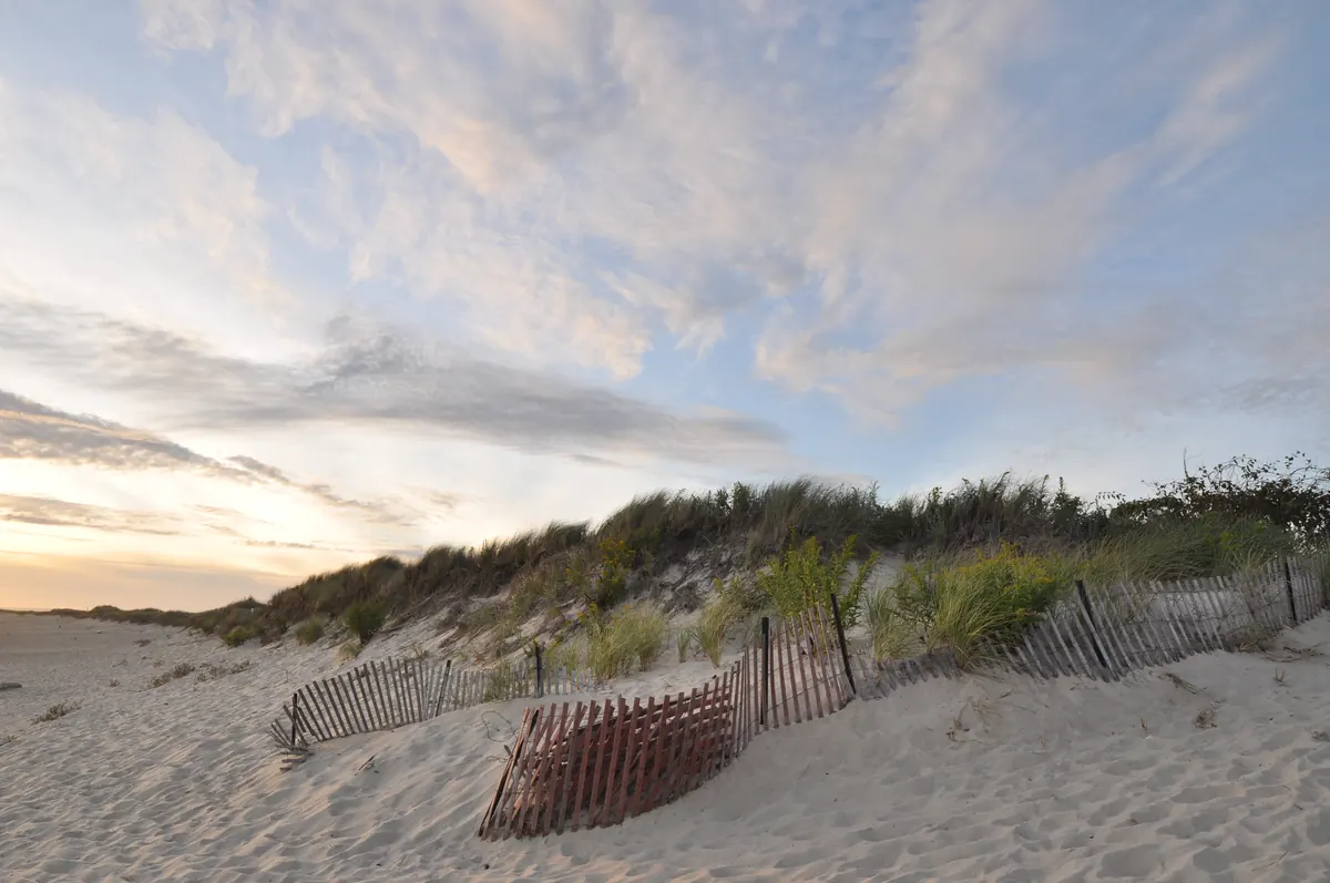 Sand dunes topped with beach grass and shrubs behind weathered snow fencing at Napatree Point, under a pale evening sky.