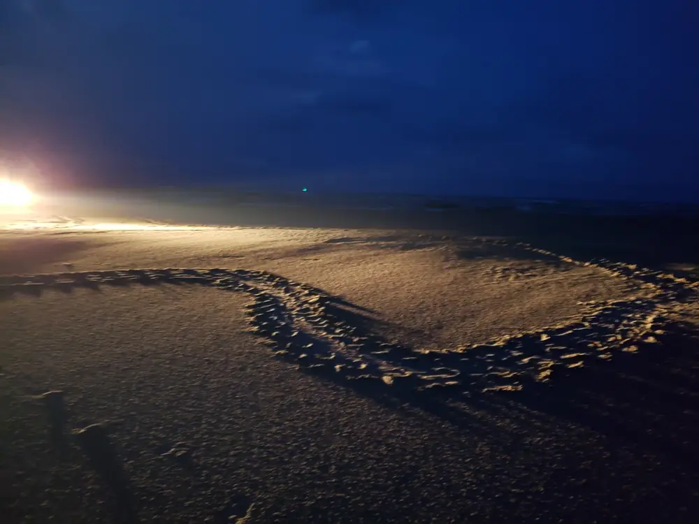 A wide track of a sea turtle crawl and turn-around marks in beach sand